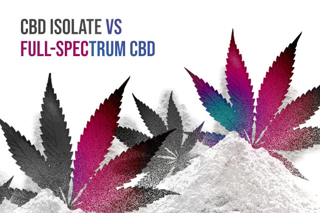 CBD Isolate vs Full-Spectrum CBD