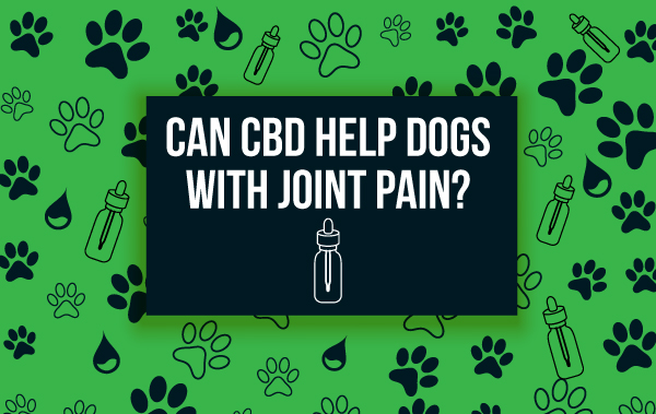 Can CBD Help Dogs With Joint Pain?