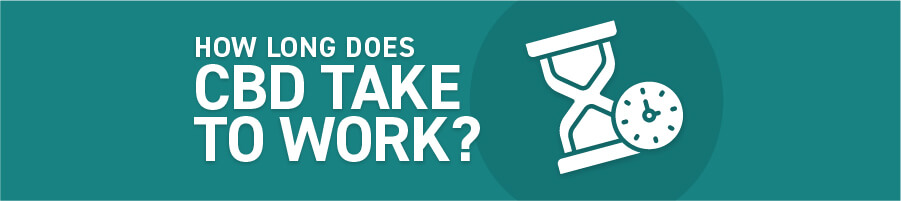 How Long Does CBD Take to Work?