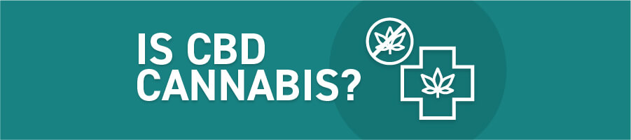 Is CBD Cannabis?