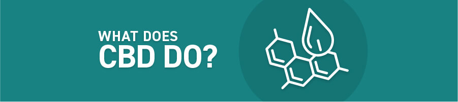 What Does CBD Do?