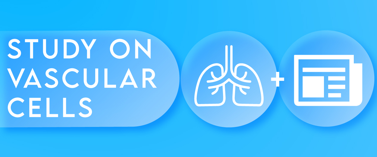Study on vascular cells