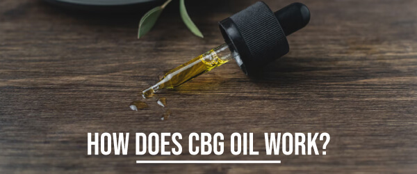 How Does CBG Oil Work?