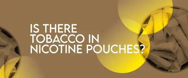 Is there tobacco in nicotine pouches image