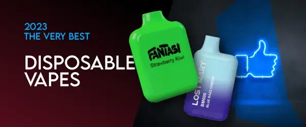 best cbd & vape products header image saying disposable vapes