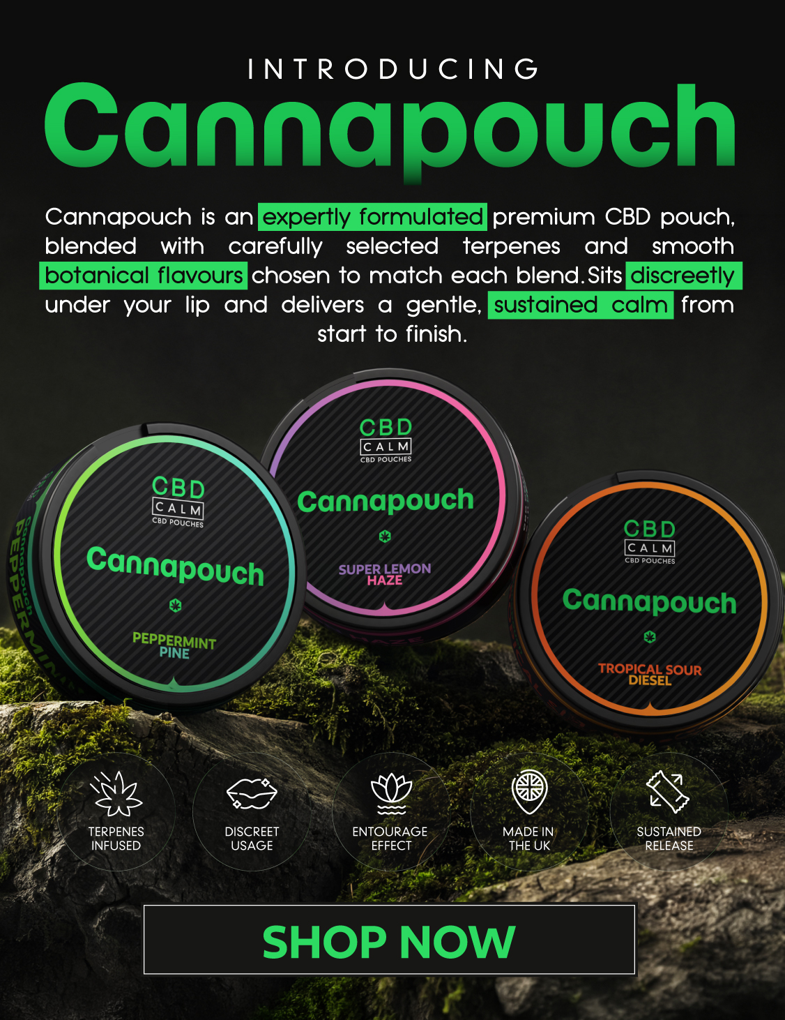 CBD Calm Promo