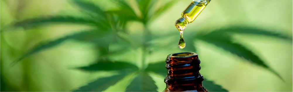Banner image of What Is CBD Oil