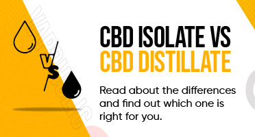 CBD ISOLATE VS DISTILLATE