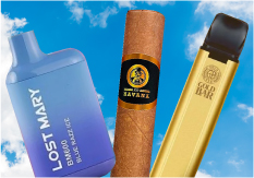 600 puff disposable vapes