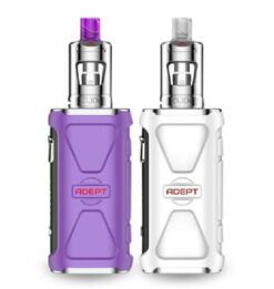 on purple and one white vaping device - Innokin Adept Zlide