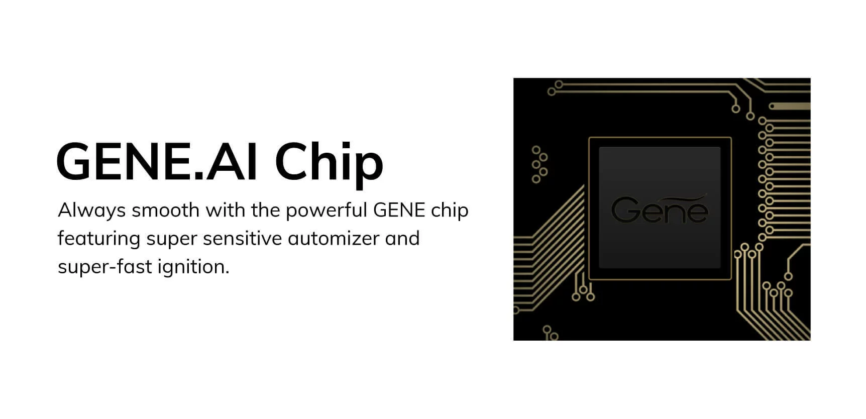 Vinci Gene Chip