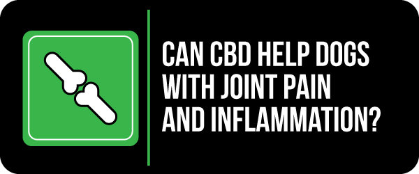 cbd for dogs with joint pain and inflammation