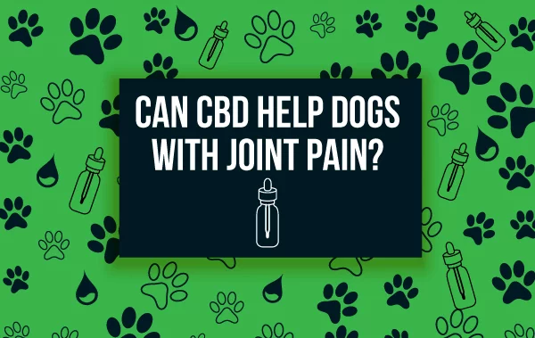 Can CBD Help Dogs With Joint Pain_Thumbnails