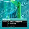 Natural - CBD Distillate 1200mg Disposable Vape | CBD Calm infographic