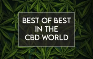 The Best CBD Products in The UK Right Now graphic