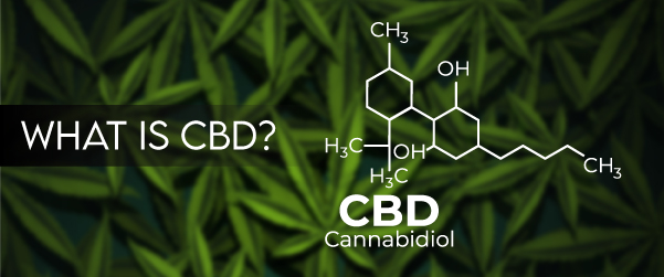 what is cbd graphic
