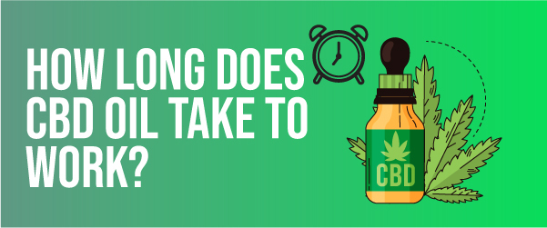 How Long Does CBD Oil Take To Work graphic