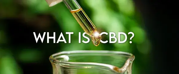 what is cbd graphic