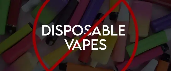 save vaping from government: disposable vapes graphic
