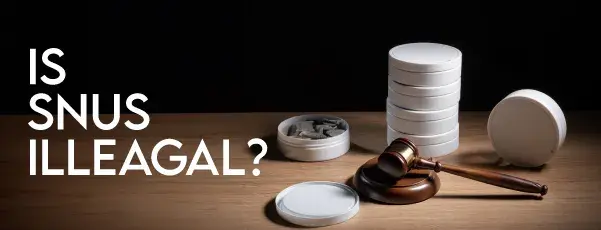 Is snus illegal image showing stacked pots of snus and a judge hammer